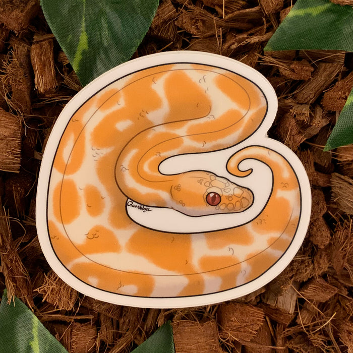 Albino Ball Python Sticker