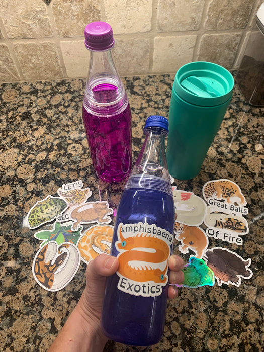 A photo of a decal from Amphisbaena Exotics on a cup to show that the decals are dishwasher safe when applied properly