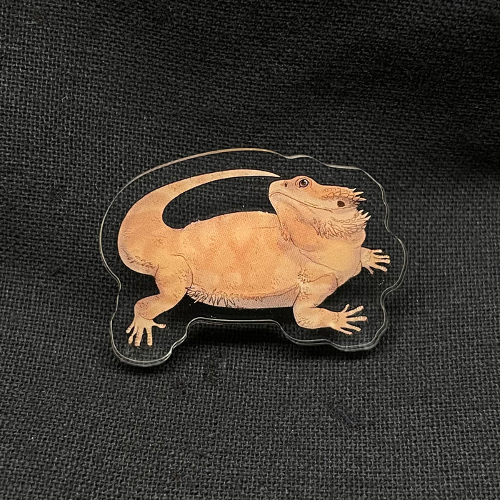Bearded Dragon Acrylic Pin