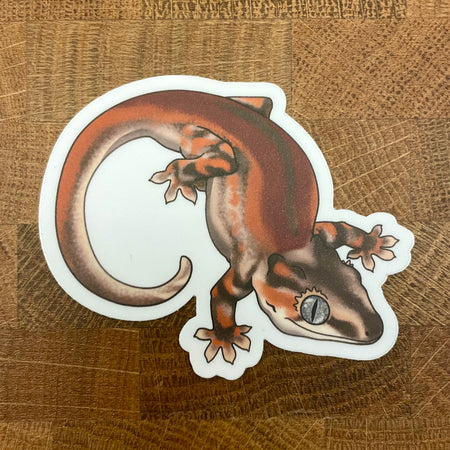 red, orange, and brown Gargoyle Gecko sticker photographed on a wood background.