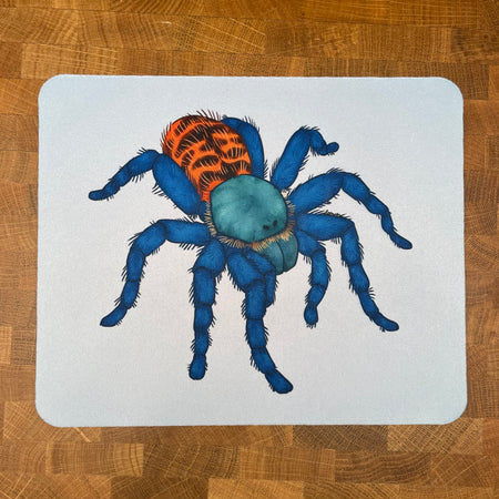 A picture of a mousepad with a spider / tarantula on a light blue background.