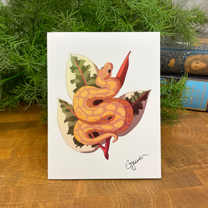 Banana Ball Python blank art card, Snake on Variegated Rubber Plant