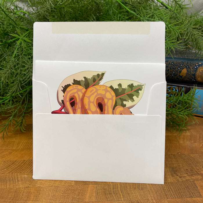 Banana Ball Python blank art card, Snake on Variegated Rubber Plant