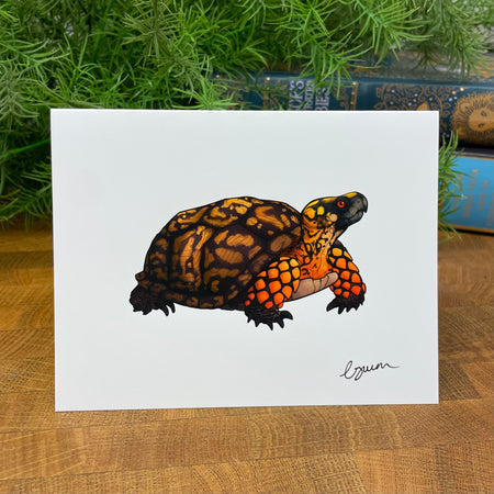 Illustration of a turtle on a white card with greenery and books in the background
