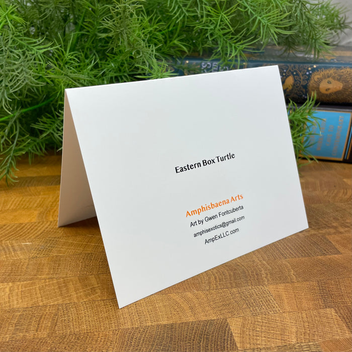 The back of the white card with text about Eastern Box Turtle art on a wooden surface with plants in the background