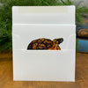 White card with a turtle illustration going into a white envelope.