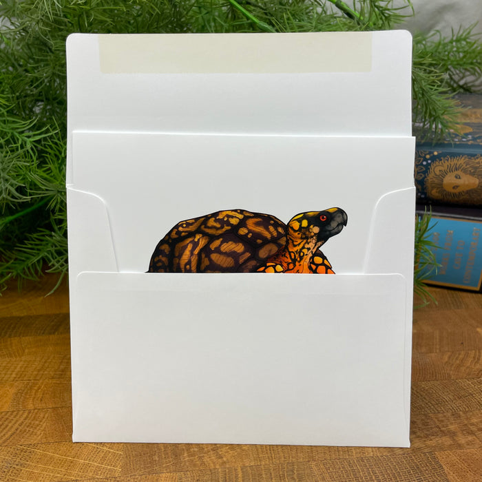 White card with a turtle illustration going into a white envelope.