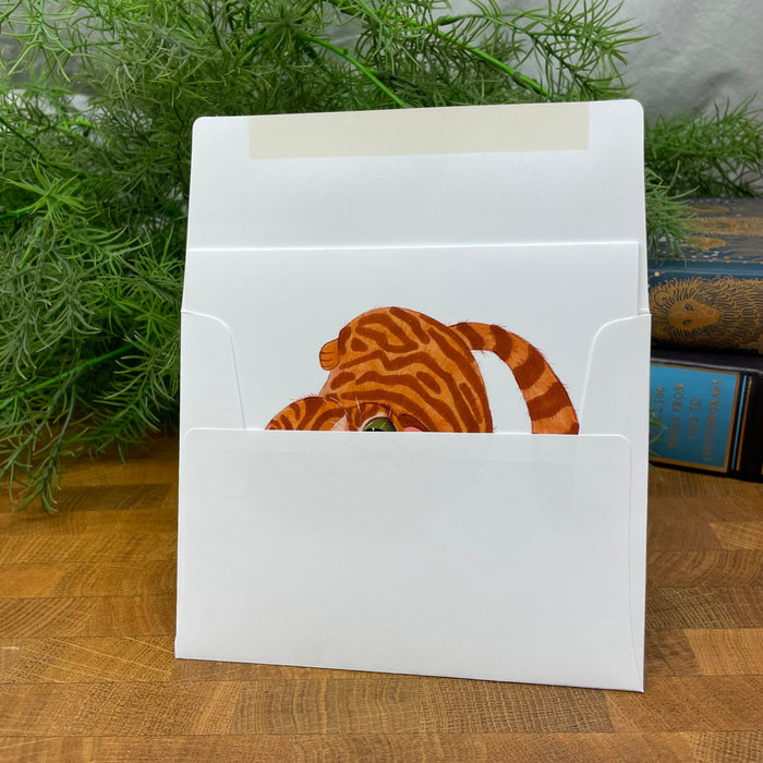 Orange Tabby Cat Pretty Kitty blank art card
