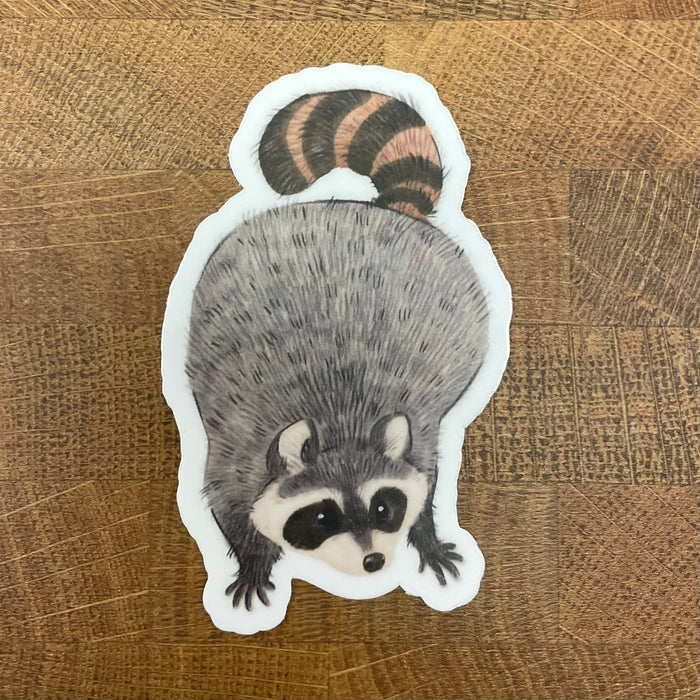 Raccoon Sticker