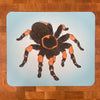 An mousepad printed with an illustration of a brown tarantula on a light blue background.