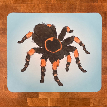 An mousepad printed with an illustration of a brown tarantula on a light blue background.