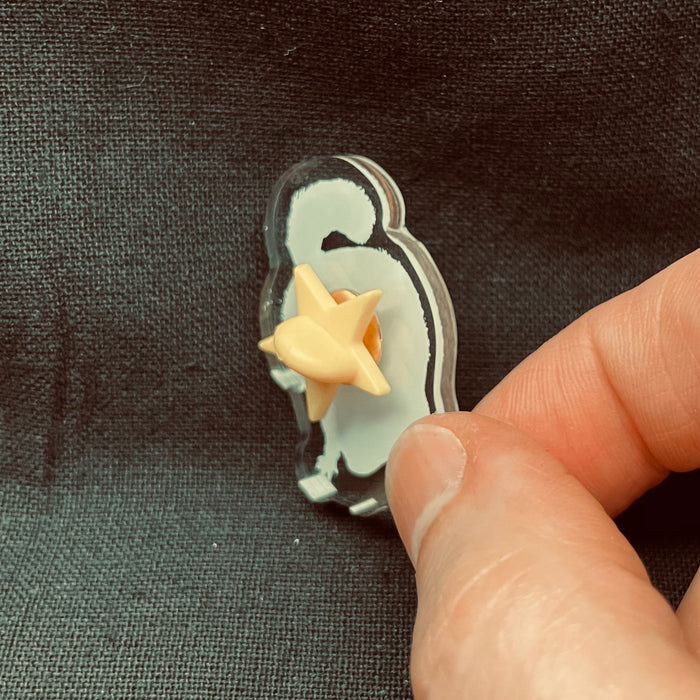 Raccoon Acrylic Pin