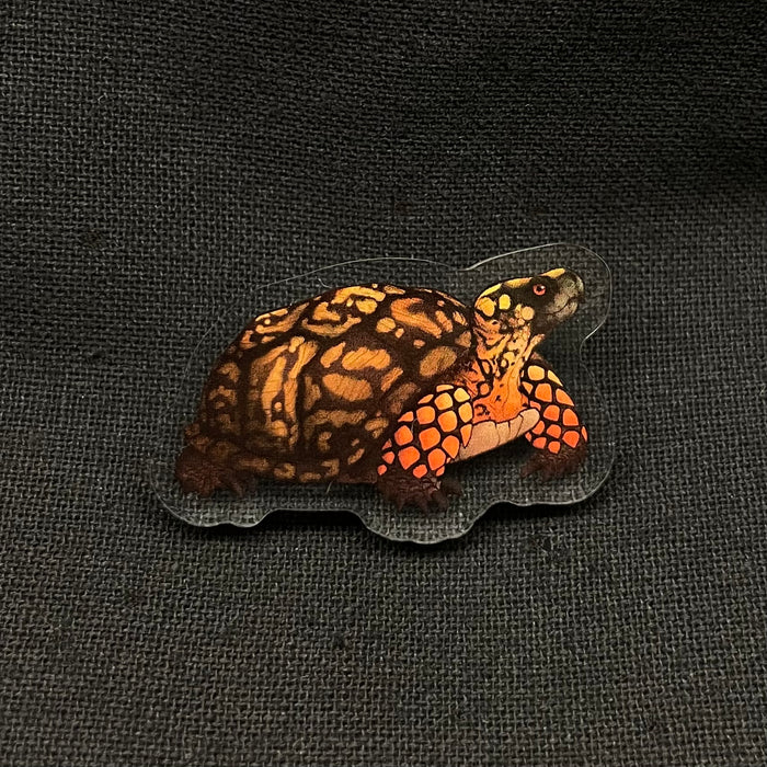 Eastern Box Turtle Acrylic Pin