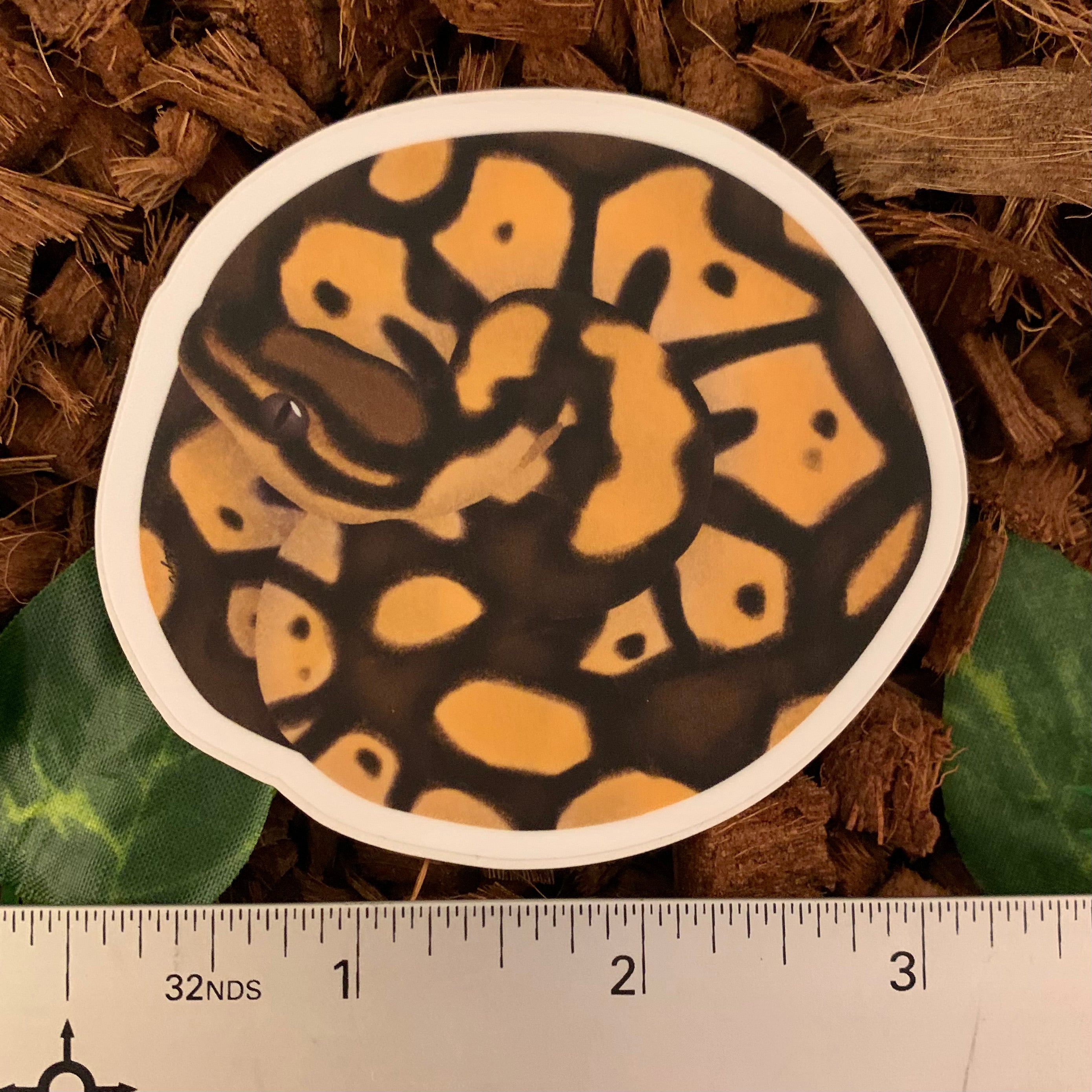 Coiled Ball Python Sticker, Pastel– Studio Zoologic