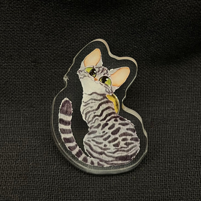 Grey Tabby Acrylic Pin