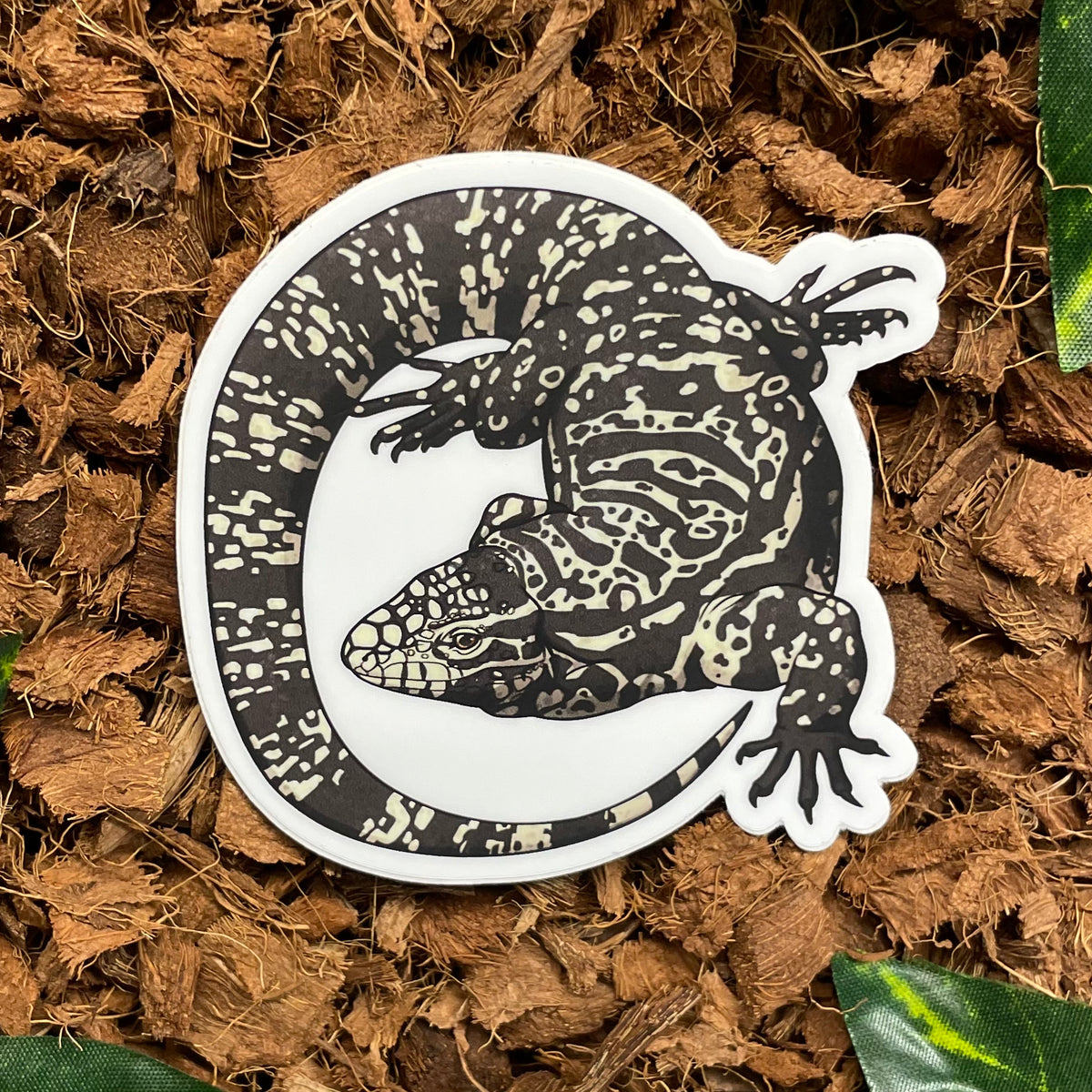 Tegu Lizard Sticker– Studio Zoologic