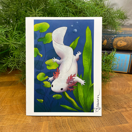 Card with a white axolotl illustration on a blue background with green plants.