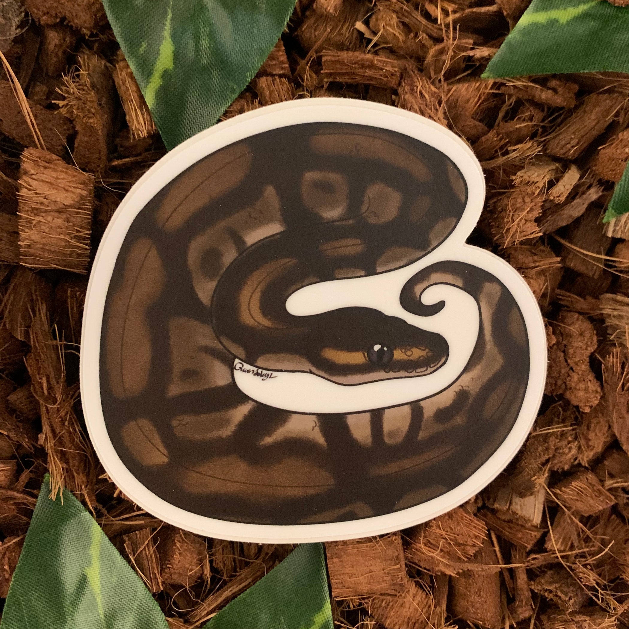 Wild Ball Python Sticker– Studio Zoologic