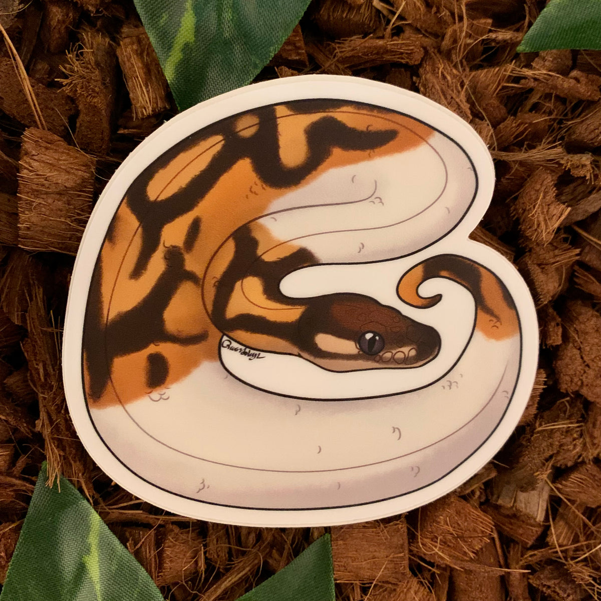 Piebald Ball Python Sticker– Studio Zoologic