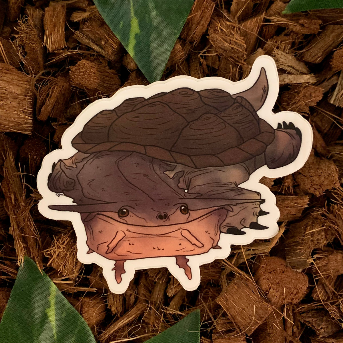 Mata Mata Turtle Sticker– Studio Zoologic