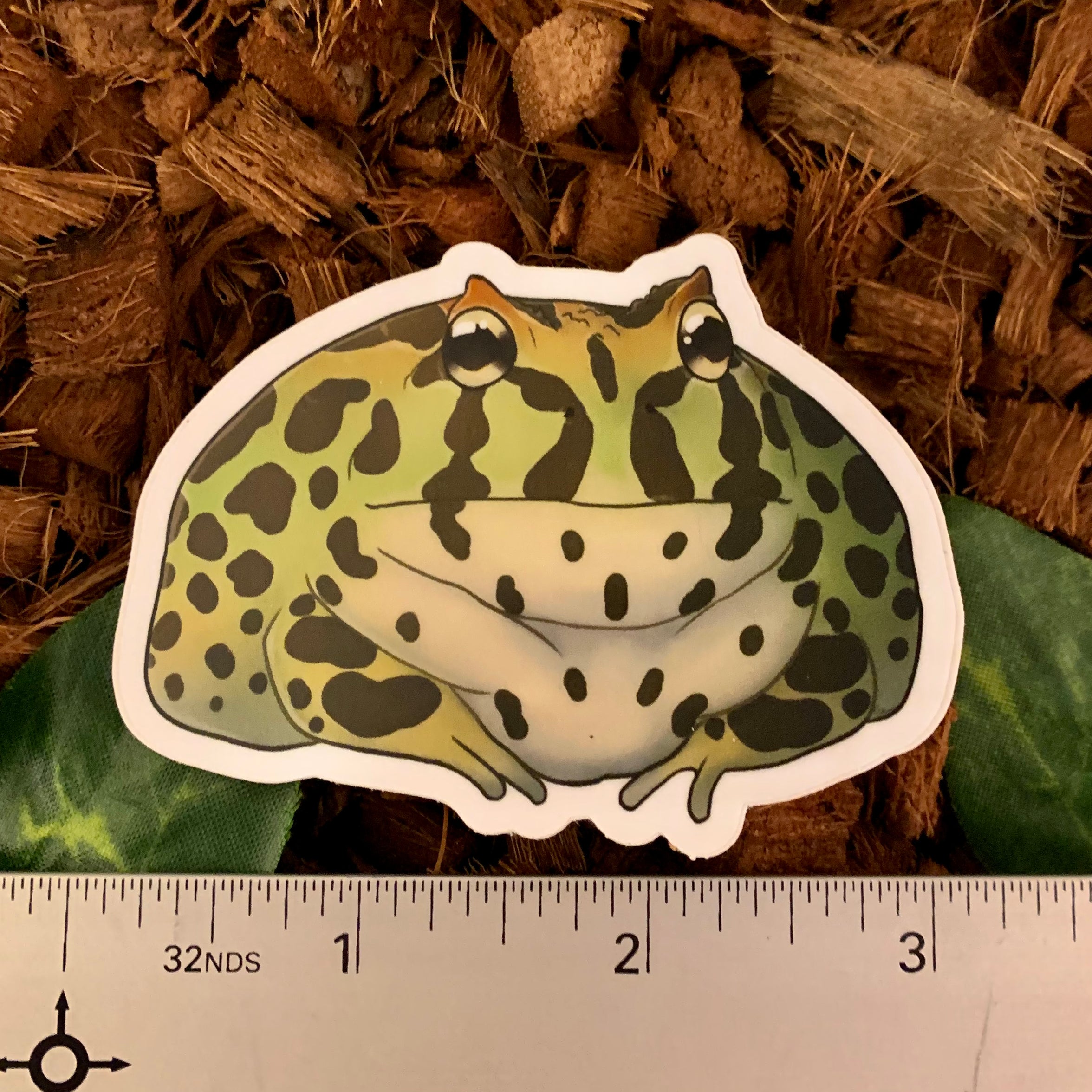 Pacman Frog Sticker– Studio Zoologic