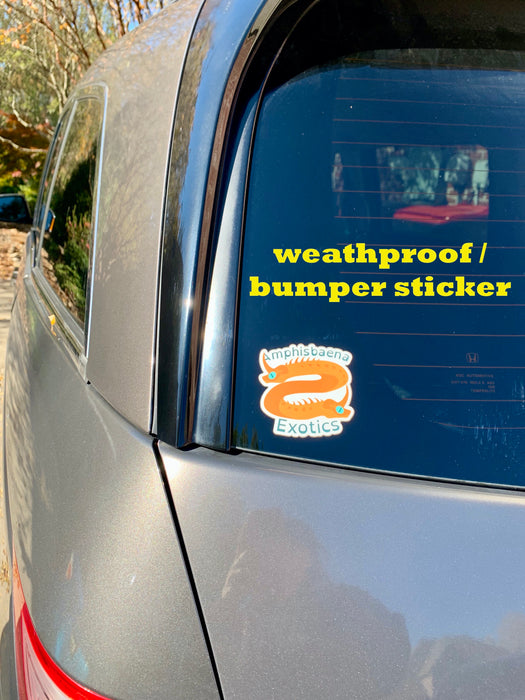 photo of a sticker on a minivan window with the words weather-proof bumper sticker