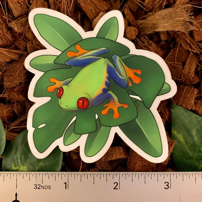 Tree Frog Sticker Red-Eyed Tree Frog Sticker– Studio Zoologic